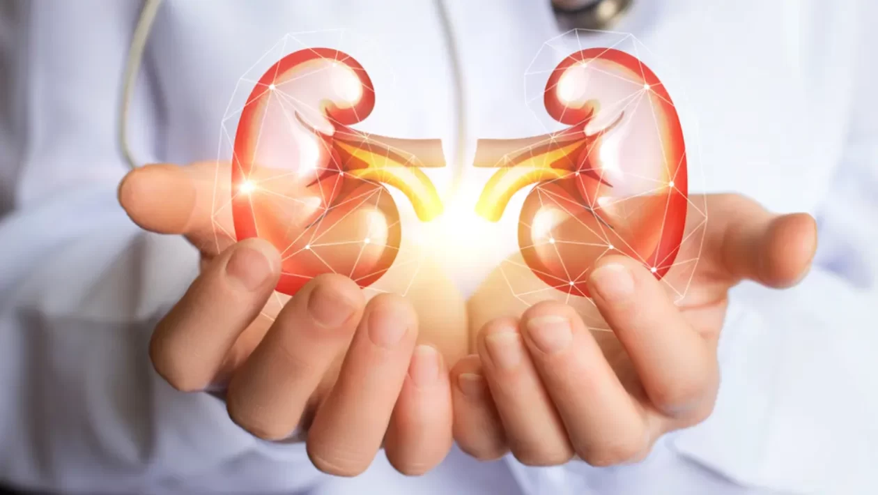 Nurturing Kidney Health